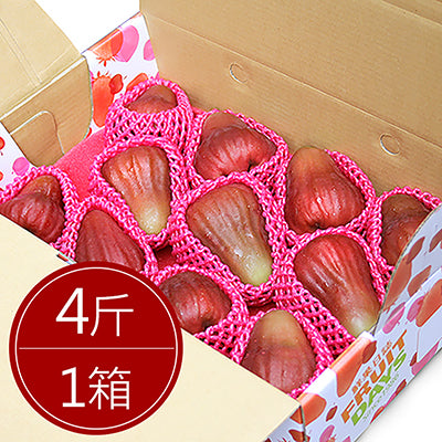【鮮果日誌】蓮霧界的LV 黑糖芭比(4台斤精美禮盒)