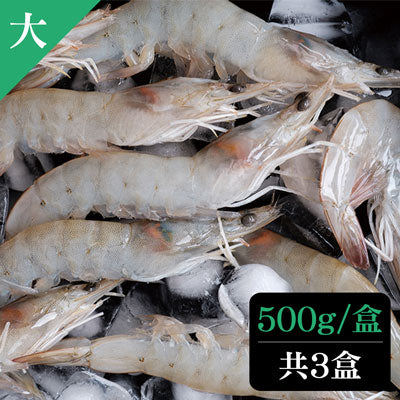 【卡馬龍】美洲白晶蝦(大)500g/盒*3盒組