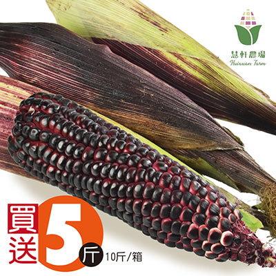 【慧軒農場】買5斤送5斤，黑寶紫糯玉米