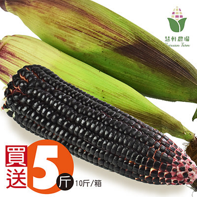 【慧軒農場】買5斤送5斤，黑寶水果玉米