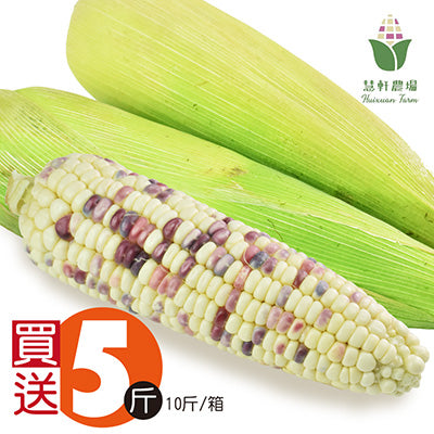 【慧軒農場】買5斤送5斤，斑比彩虹甜糯玉米