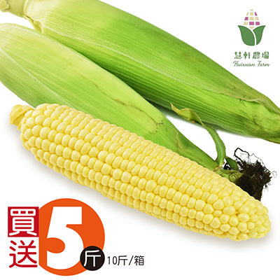 【慧軒農場】買5斤送5斤，甜玉米