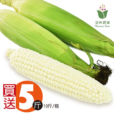【慧軒農場】買5斤送5斤，白龍王水果玉米(10斤/箱)
