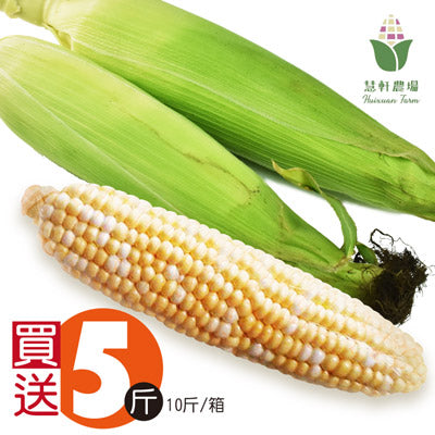 【慧軒農場】買5斤送5斤，雙色水果玉米