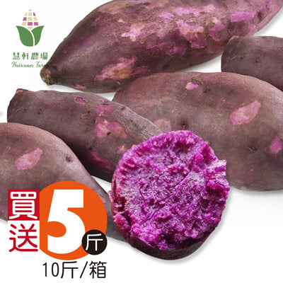 【慧軒農場】買5斤送5斤，紫色地瓜(中)