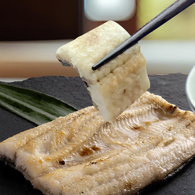 【生生鰻魚】外銷日本白燒鰻獨享包(500g±20%/片)