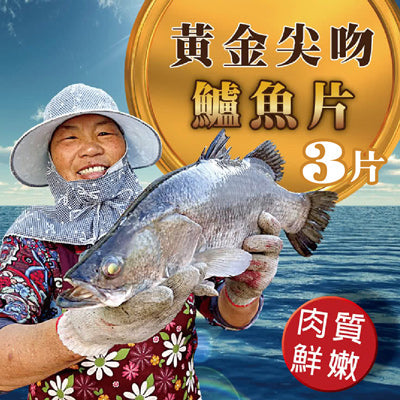 【大口市集】黃金尖吻鱸魚片350g±10%/片*3片